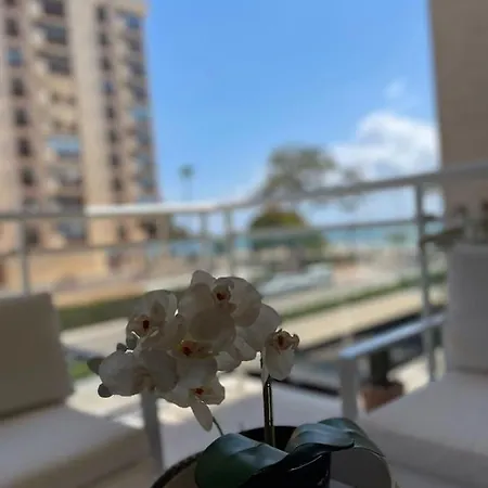 Seaside Retreat * Benicassim